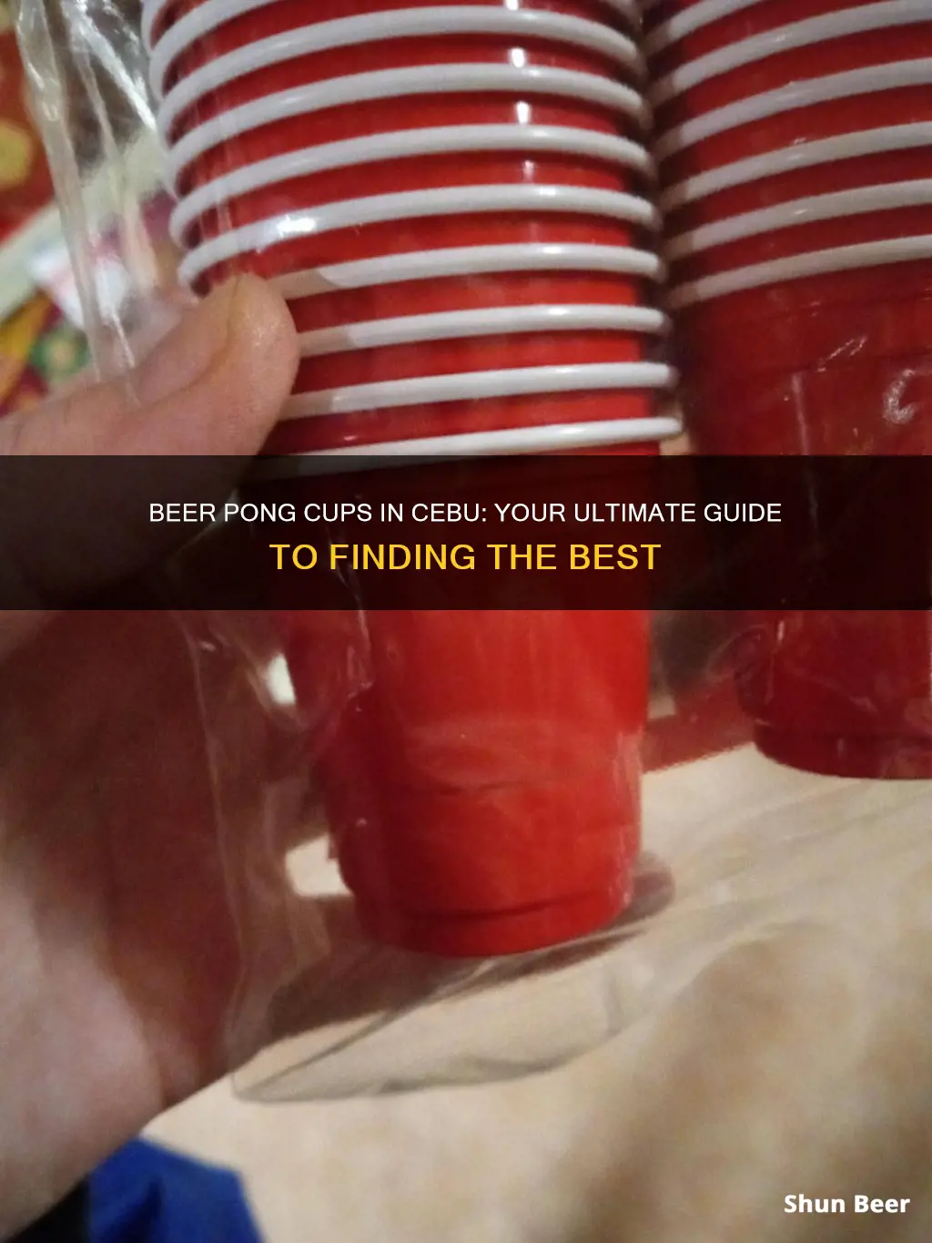 where to buy beer pong cups in cebu