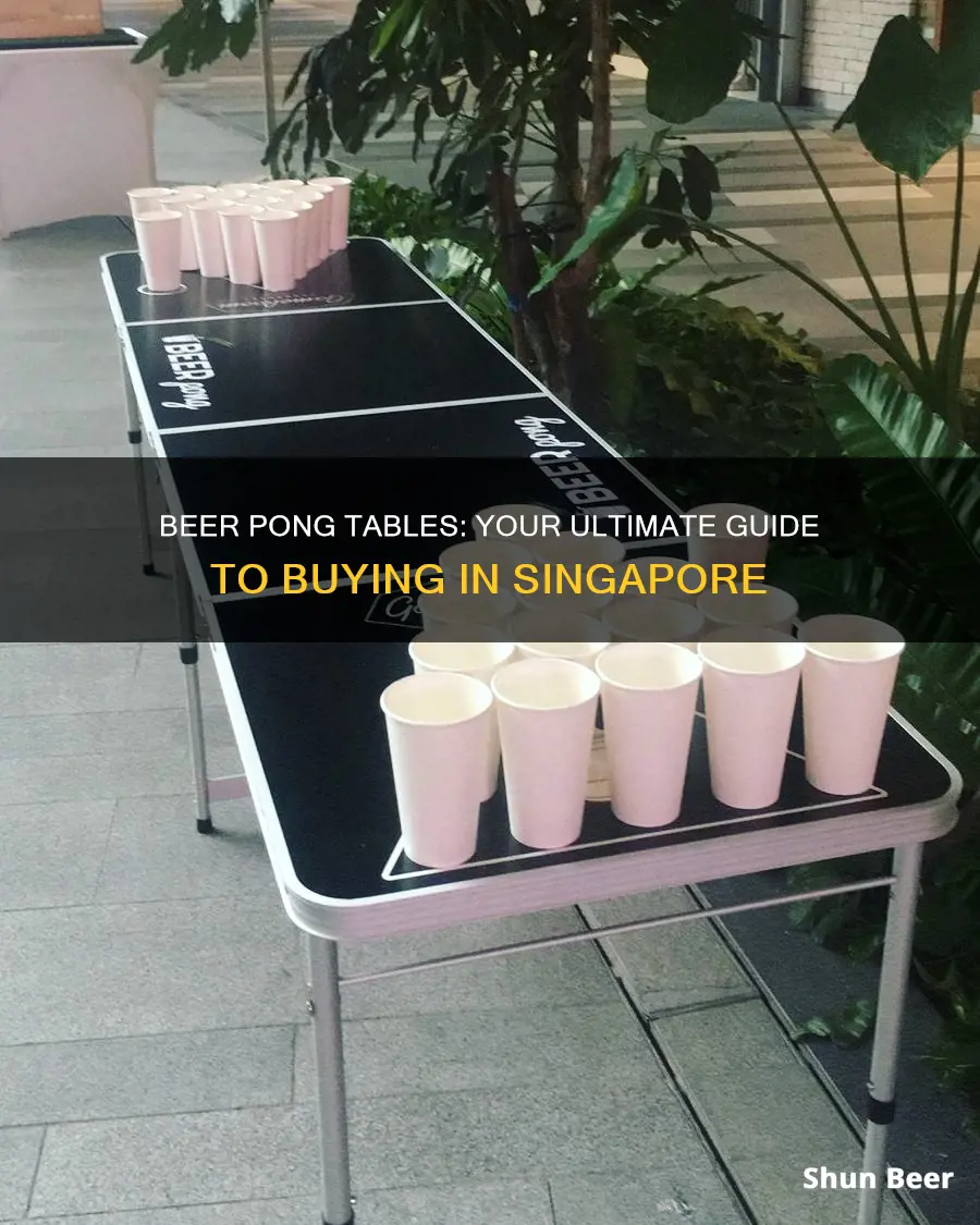 where to buy beer pong table in singapore