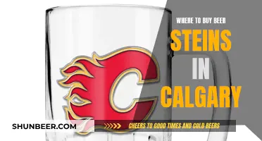 Calgary's Best Spots for Beer Stein Shopping