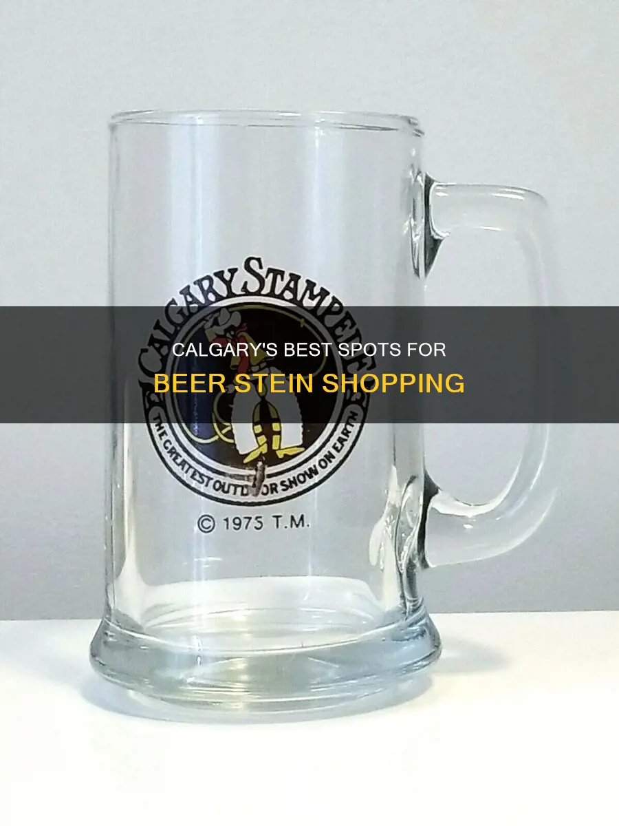 where to buy beer steins in calgary