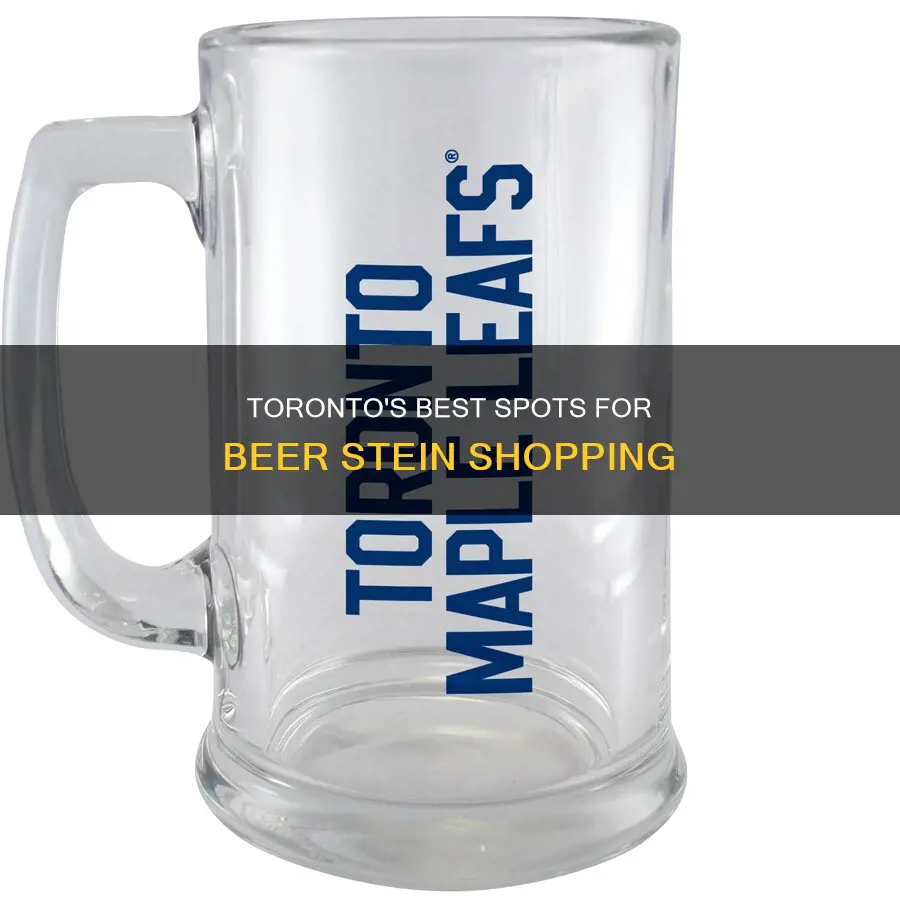 where to buy beer steins in toronto