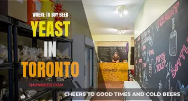 Toronto's Best Yeast Sources: A Guide to Beer Brewing