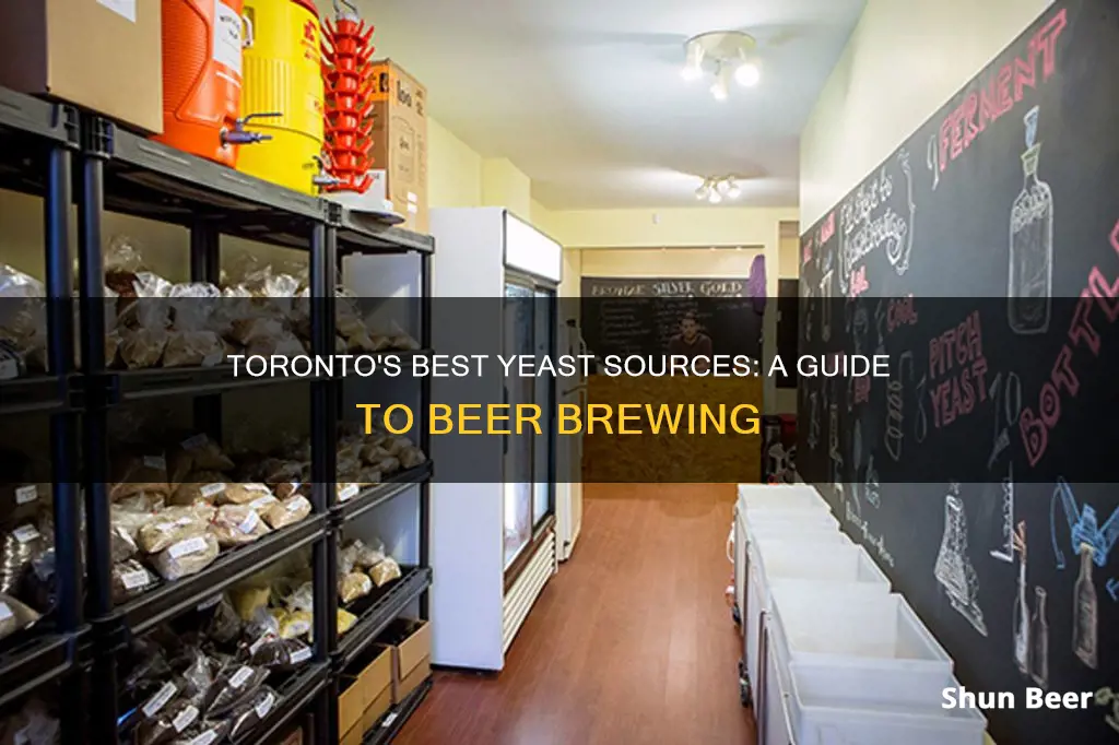 where to buy beer yeast in toronto