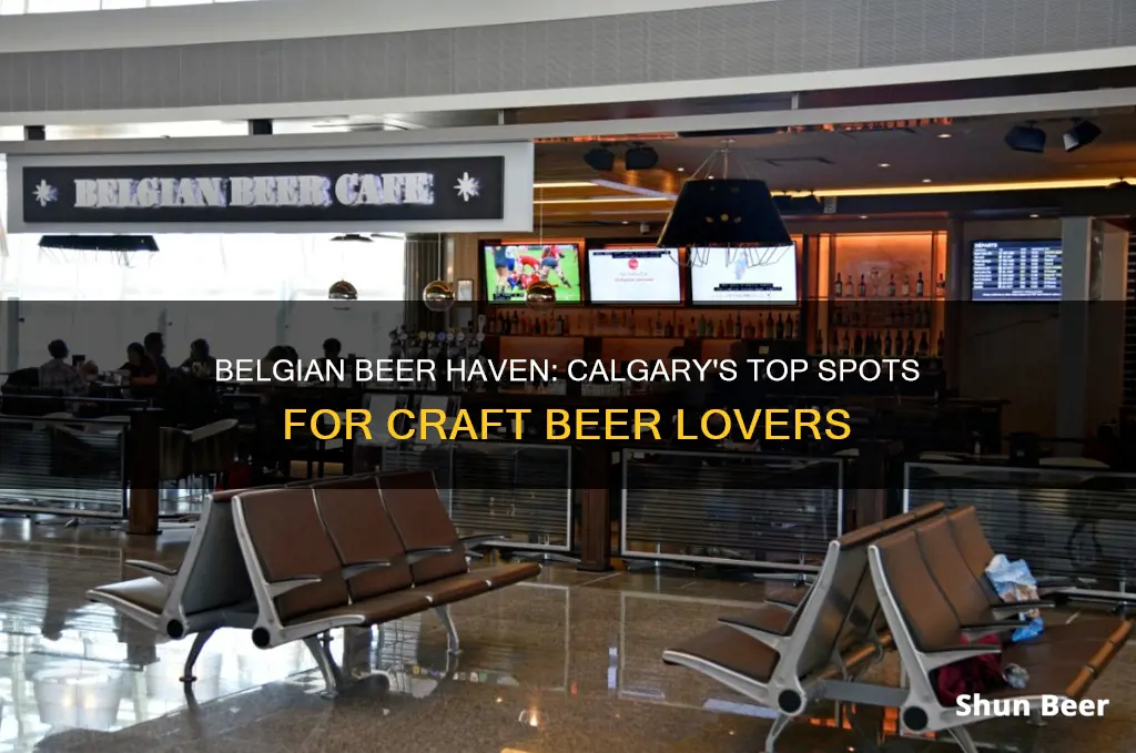 where to buy belgian beer in calgary