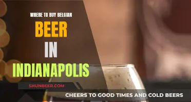 Belgian Beer Paradise: Indianapolis' Best Spots for Belgian Brews