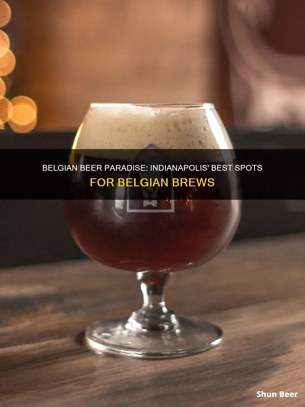 where to buy belgian beer in indianapolis