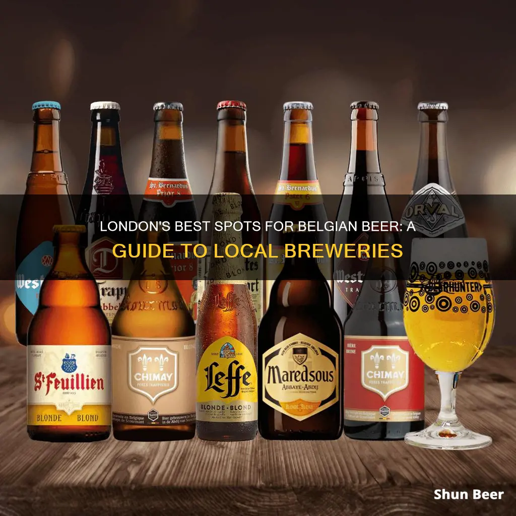 where to buy belgian beer in london