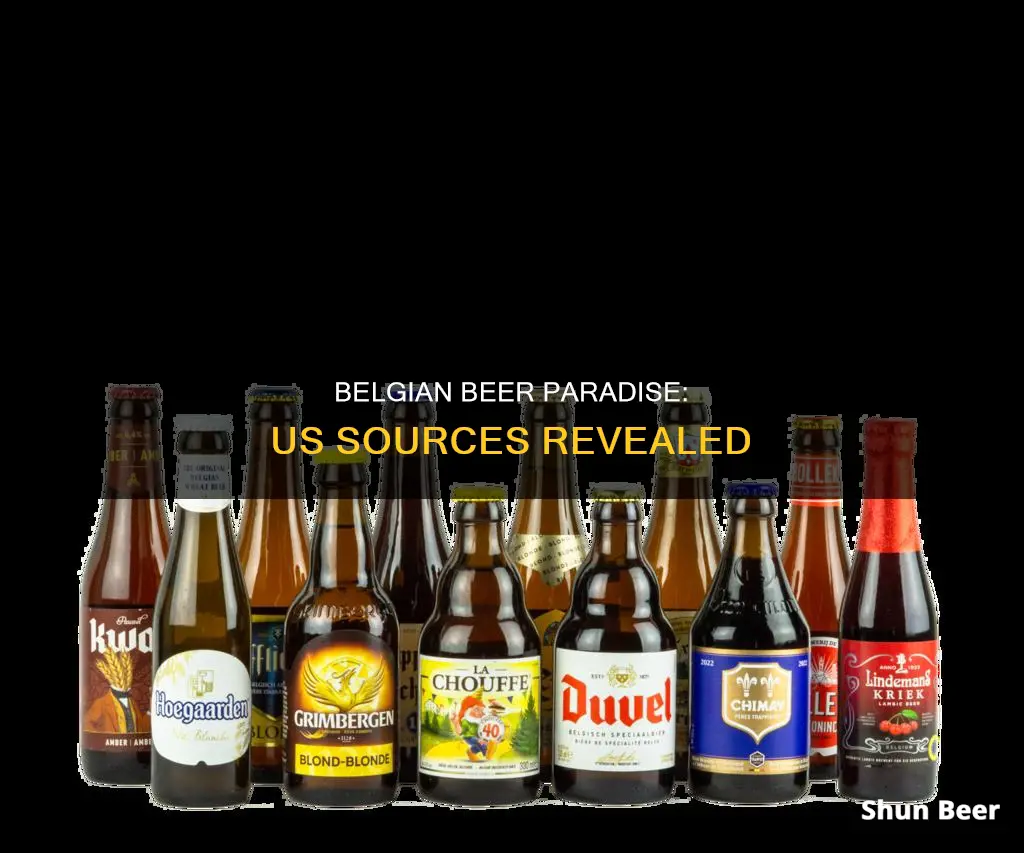 where to buy belgian beer in the us