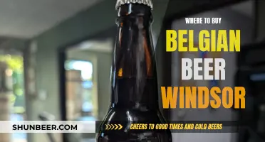 Belgian Beer Haven: Top Spots in Windsor