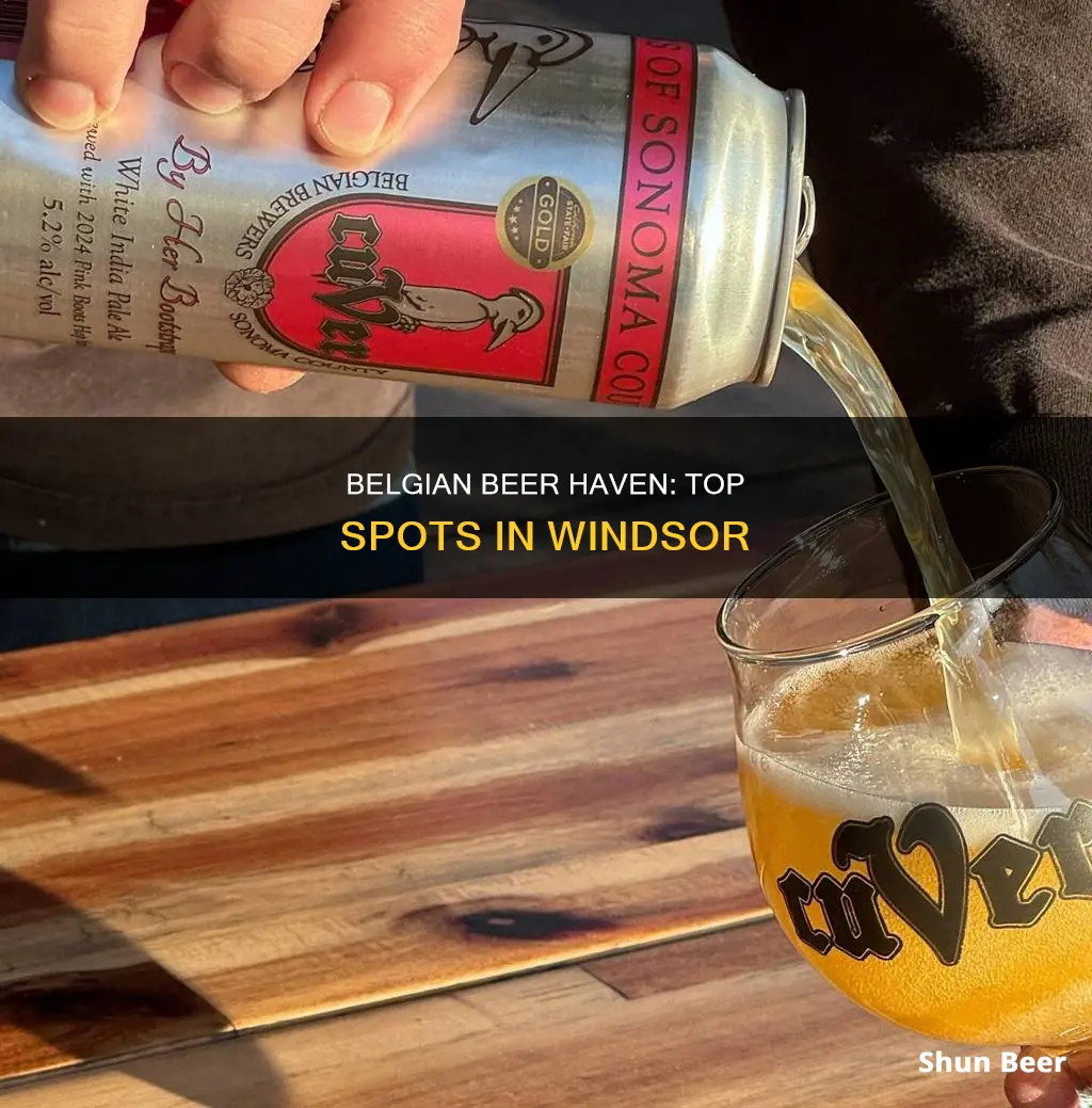 where to buy belgian beer windsor