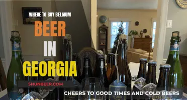 Belgian Beer Paradise: Georgia's Best Spots for Belgian Brews