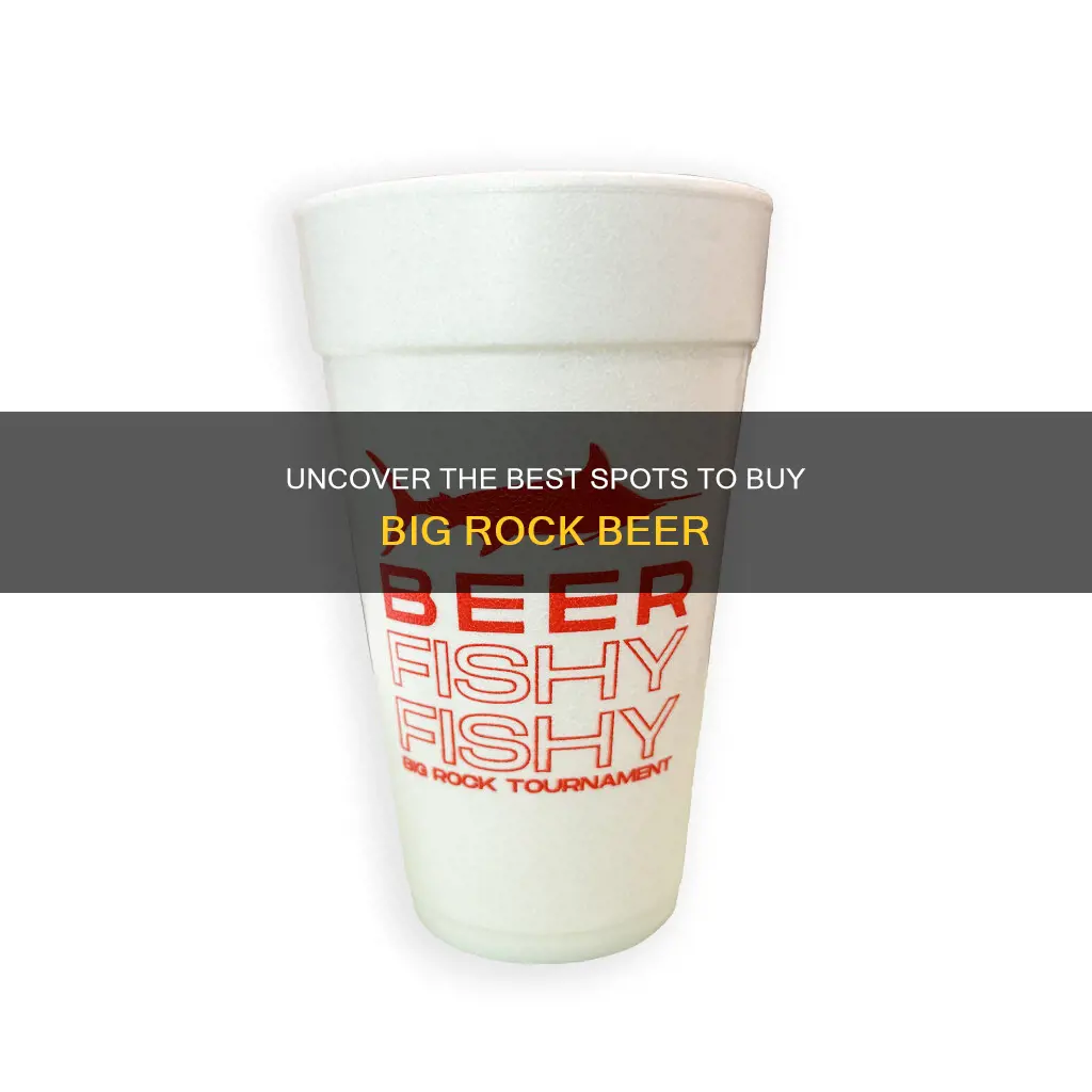 where to buy big rock beer