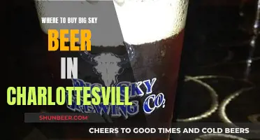 Big Sky Beer: Charlottesville's Best Sources Revealed