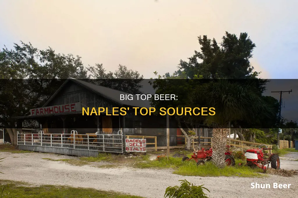 where to buy big top beer in naples florida