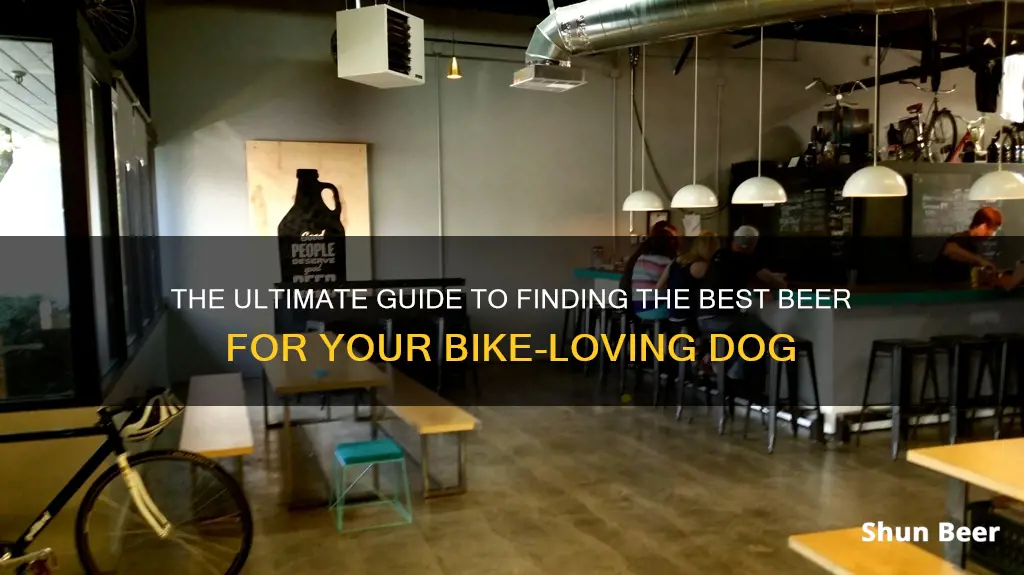 where to buy bike dog beer