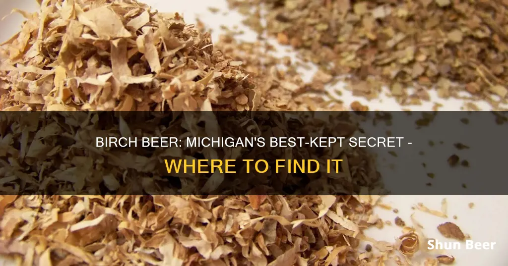 where to buy birch beer in michigan