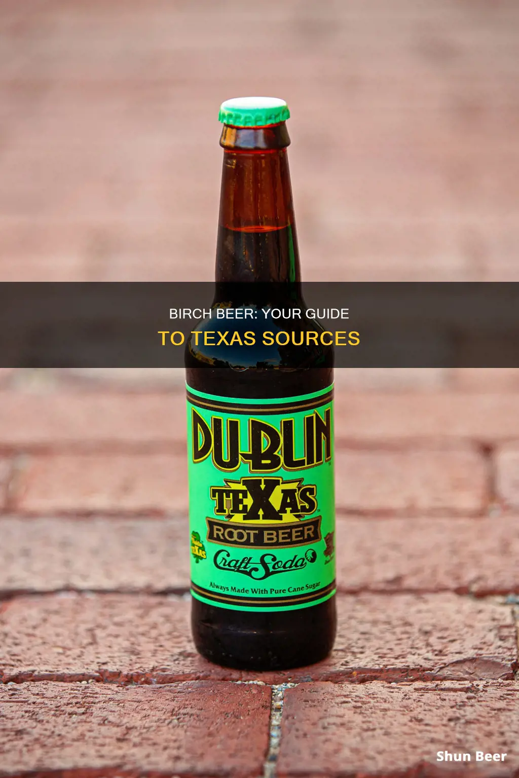 where to buy birch beer in texas