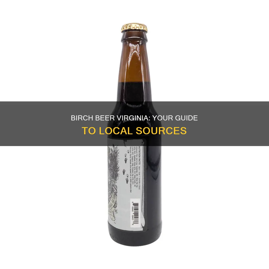 where to buy birch beer in virginia