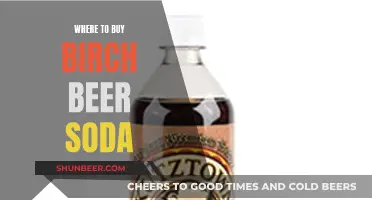 Birch Beer Soda: Your Ultimate Guide to Finding the Perfect Brew