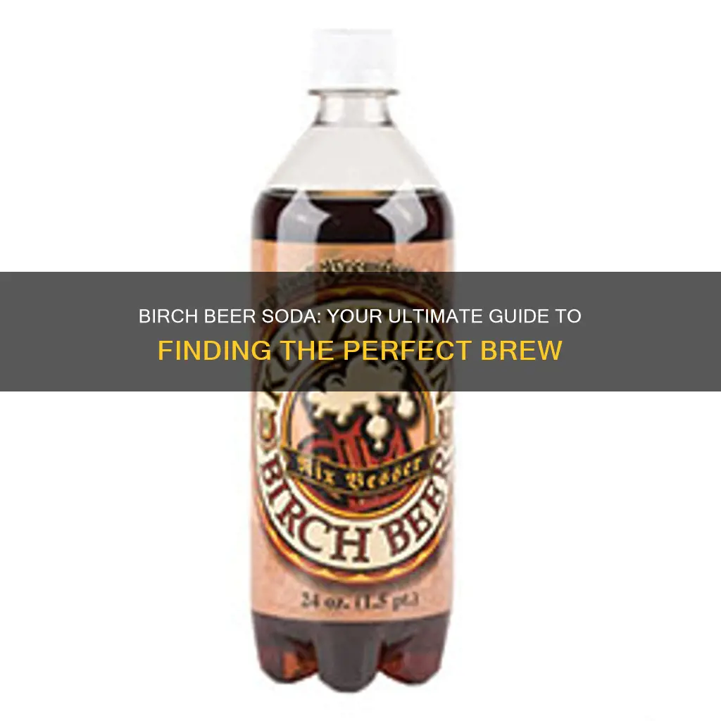 where to buy birch beer soda