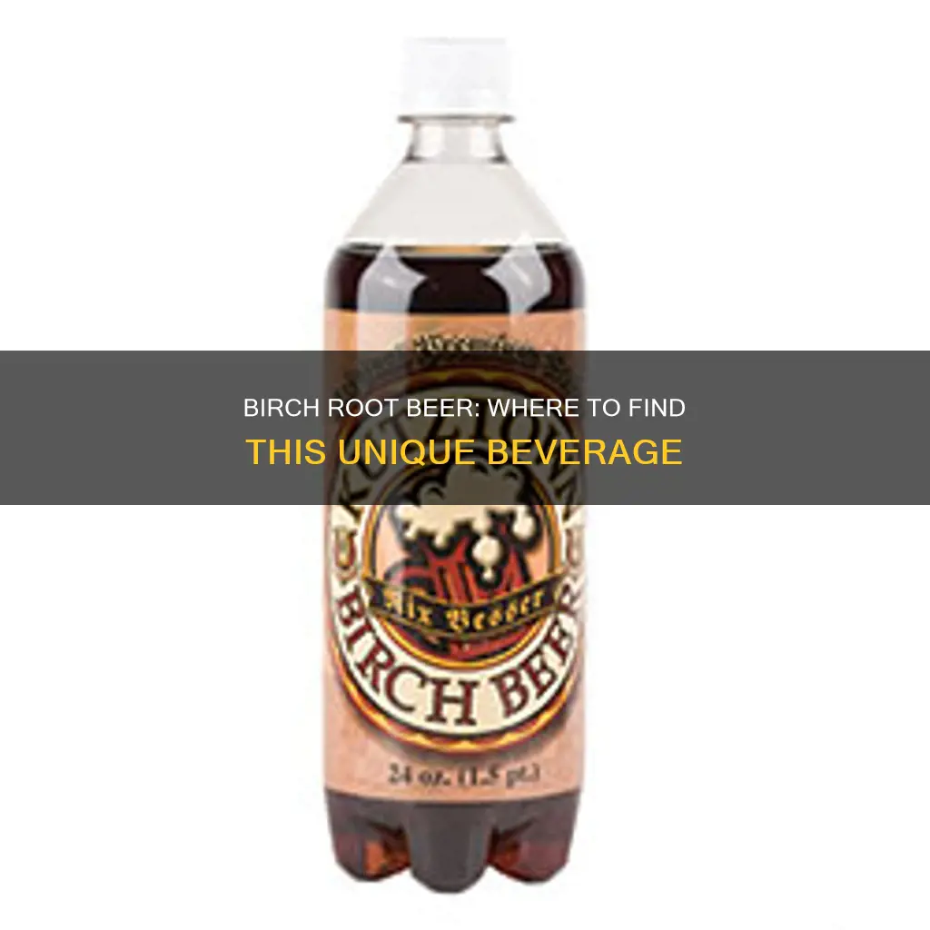 where to buy birch root beer