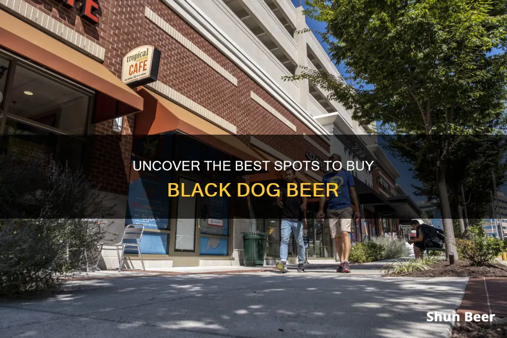 where to buy black dog beer