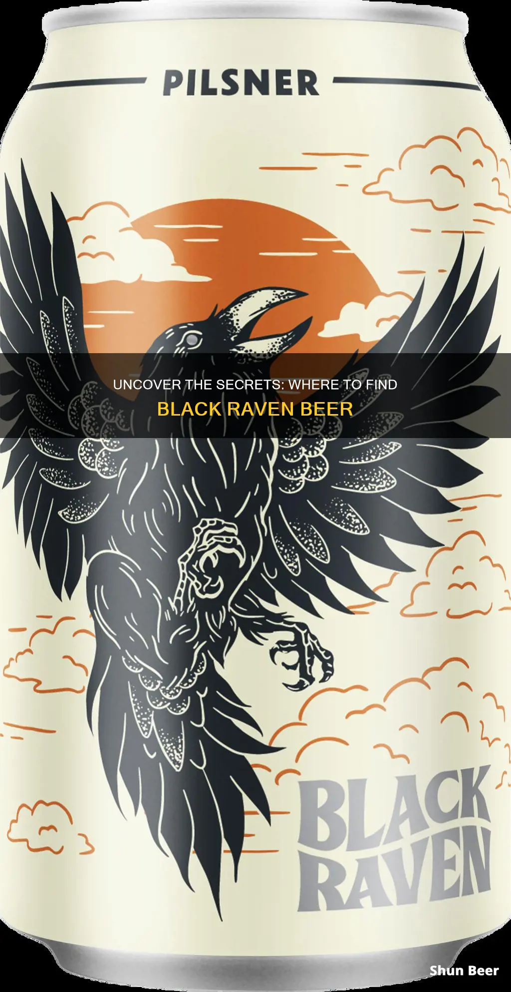 where to buy black raven beer