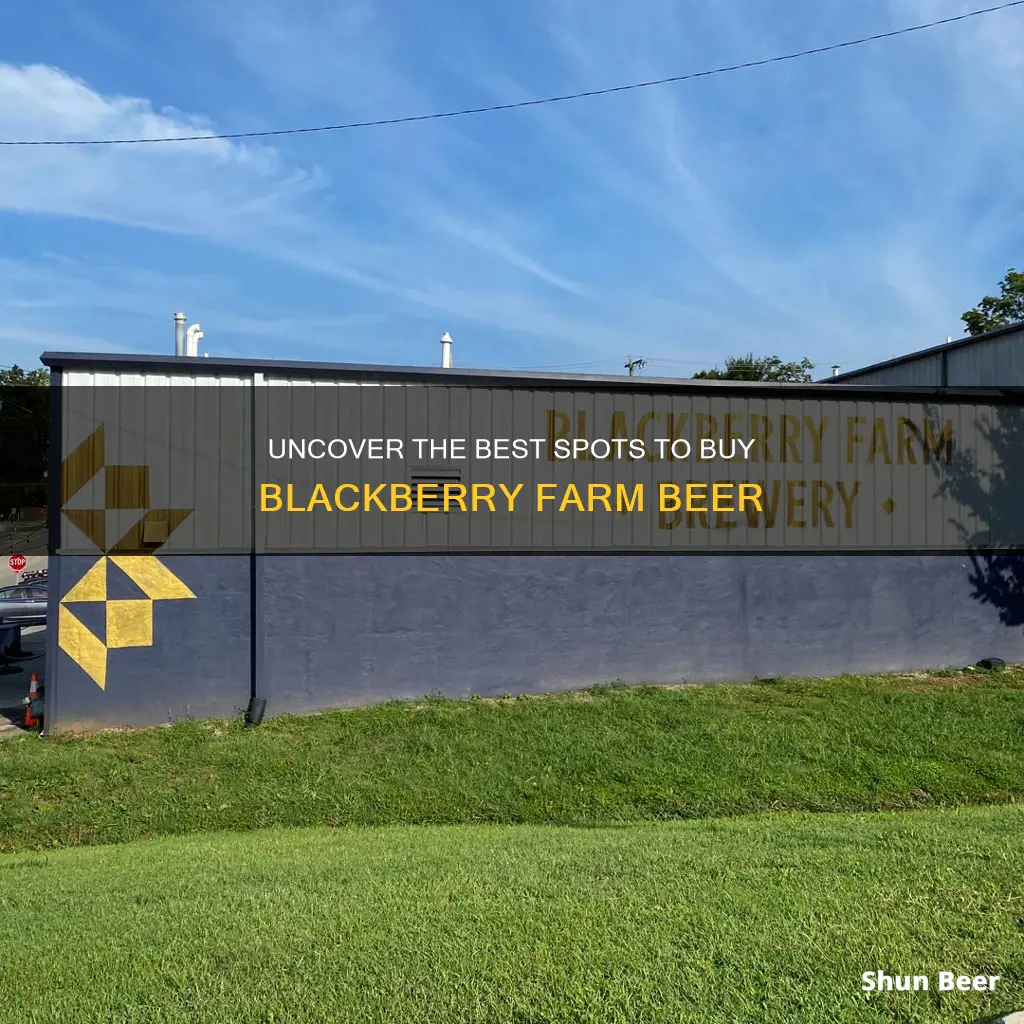 where to buy blackberry farm beer