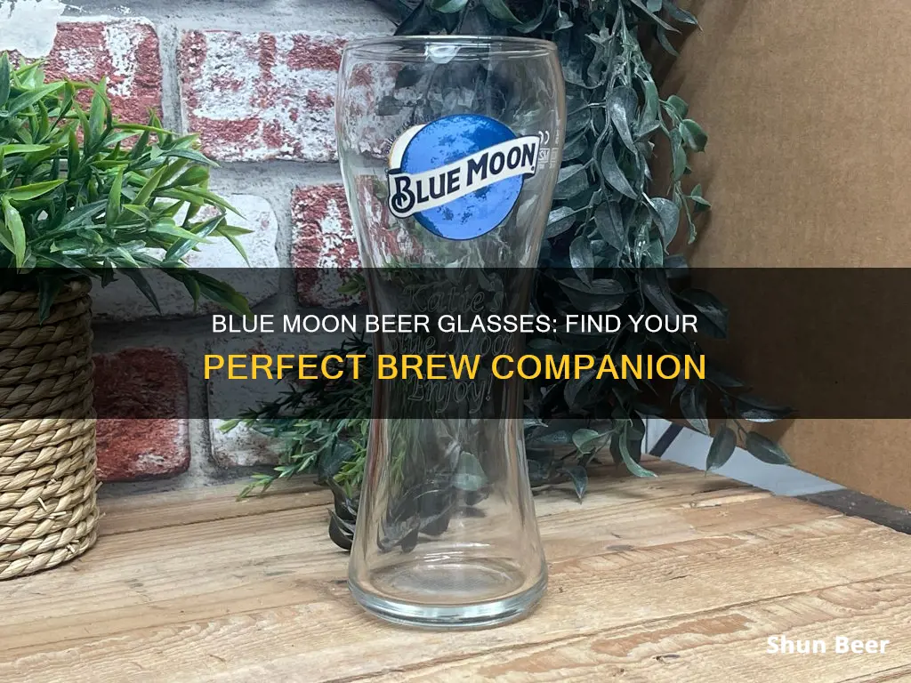 where to buy blue moon beer glasses