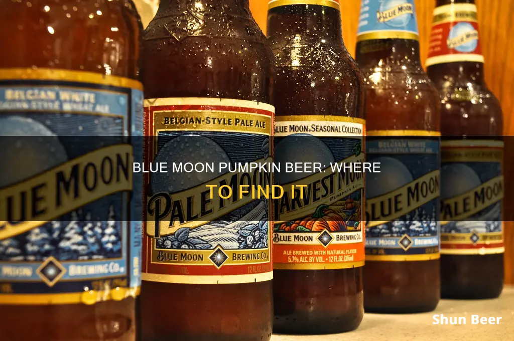 where to buy blue moon pumpkin beer