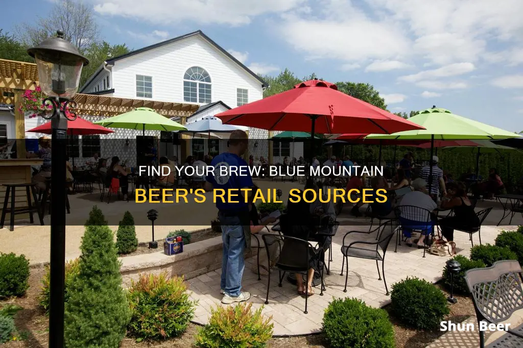 where to buy blue mountain beer