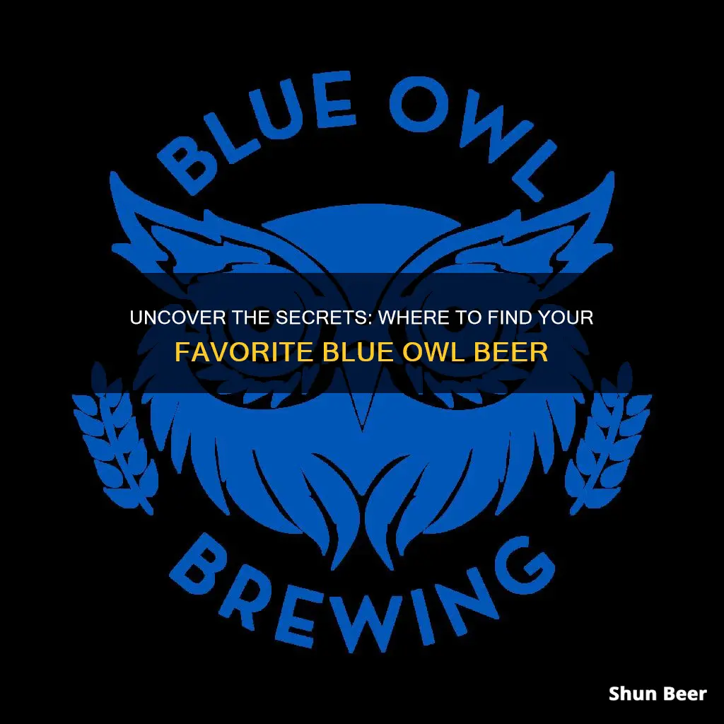 where to buy blue owl beer