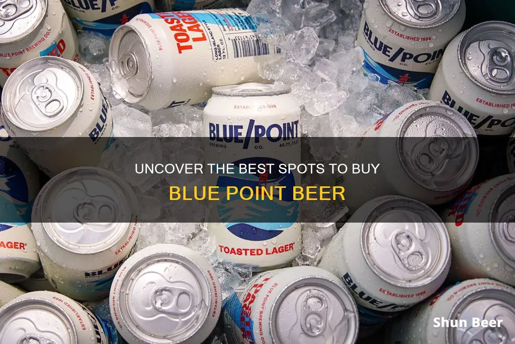 where to buy blue point beer