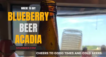 Blueberry Beer: Where to Find the Perfect Acadia Brew