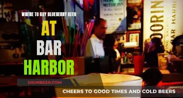 Blueberry Beer in Bar Harbor: Top Sources and Spots