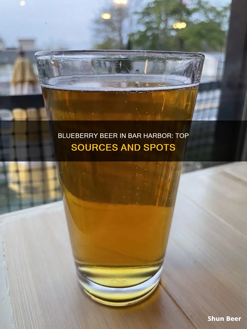 where to buy blueberry beer at bar harbor