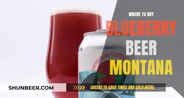 Blueberry Beer Montana: Discover the Best Sources for This Unique Brew