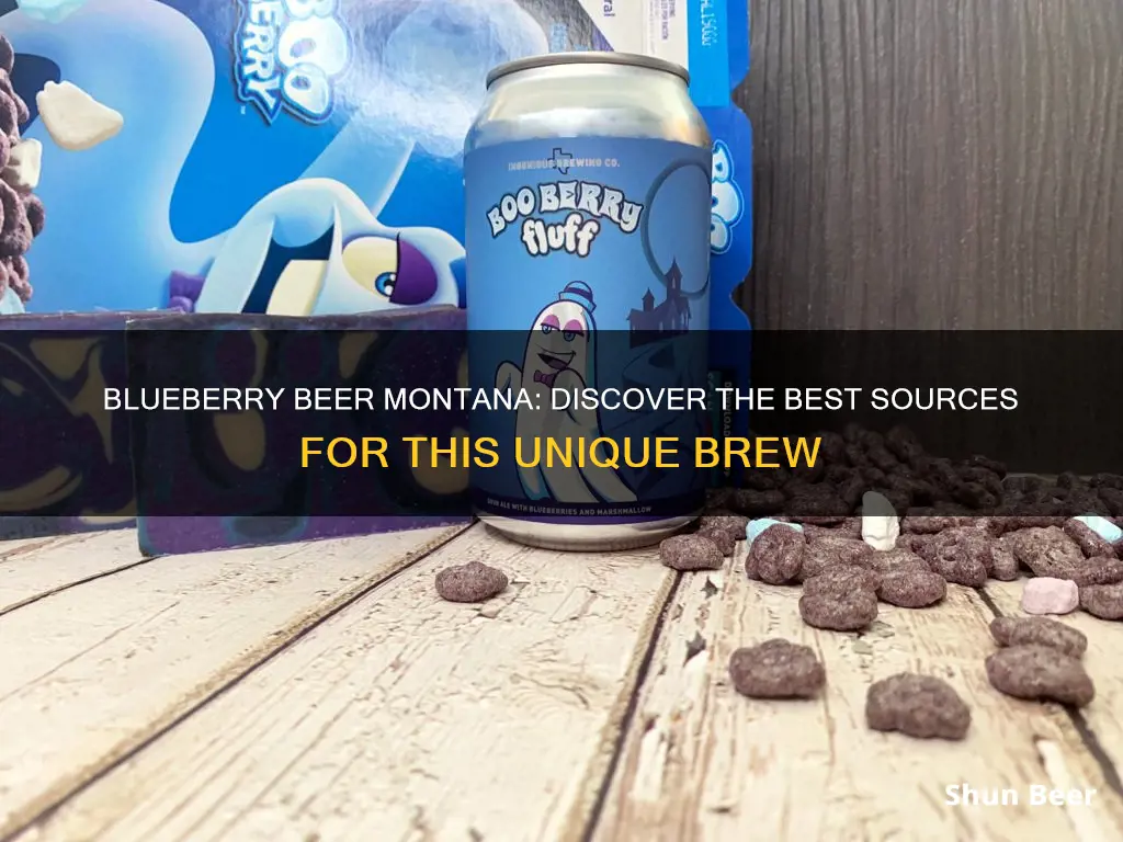 where to buy blueberry beer montana