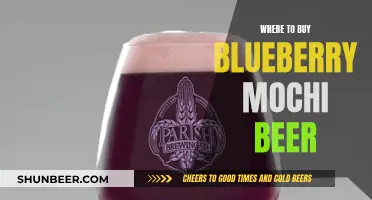 Find the Best Spots for Blueberry Mochi Beer