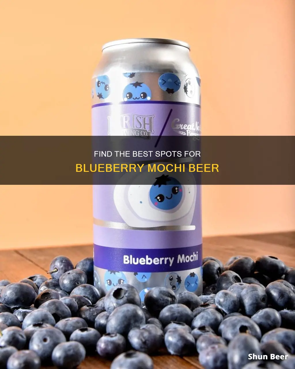 where to buy blueberry mochi beer