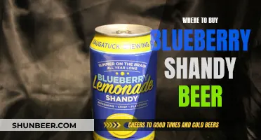 Blueberry Shandy Beer: Top Sources for Your Refreshing Summer Sipper