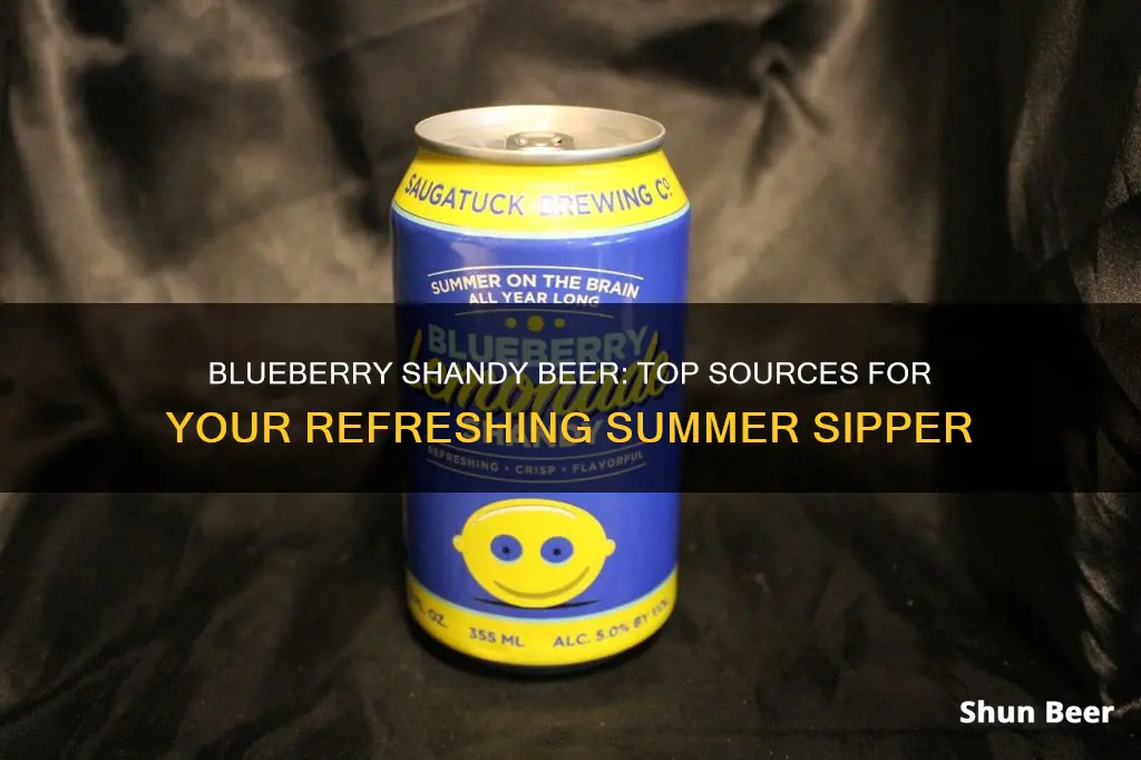 where to buy blueberry shandy beer