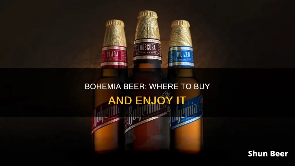 where to buy bohemia beer