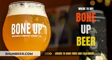 Bone Up Beer: Your Ultimate Buying Guide