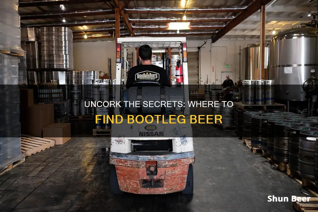 where to buy bootleg brewing beer