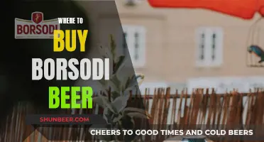 Uncover the Best Spots to Buy Borsodi Beer