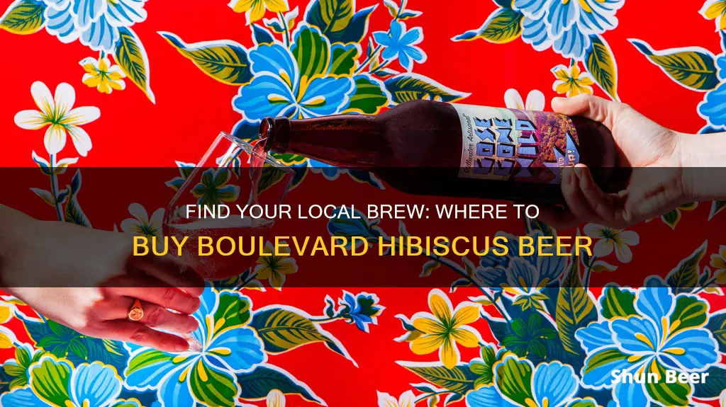 where to buy boulevard hibiscus beer