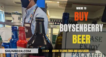 Boysenberry Beer: Where to Find This Unique Brew