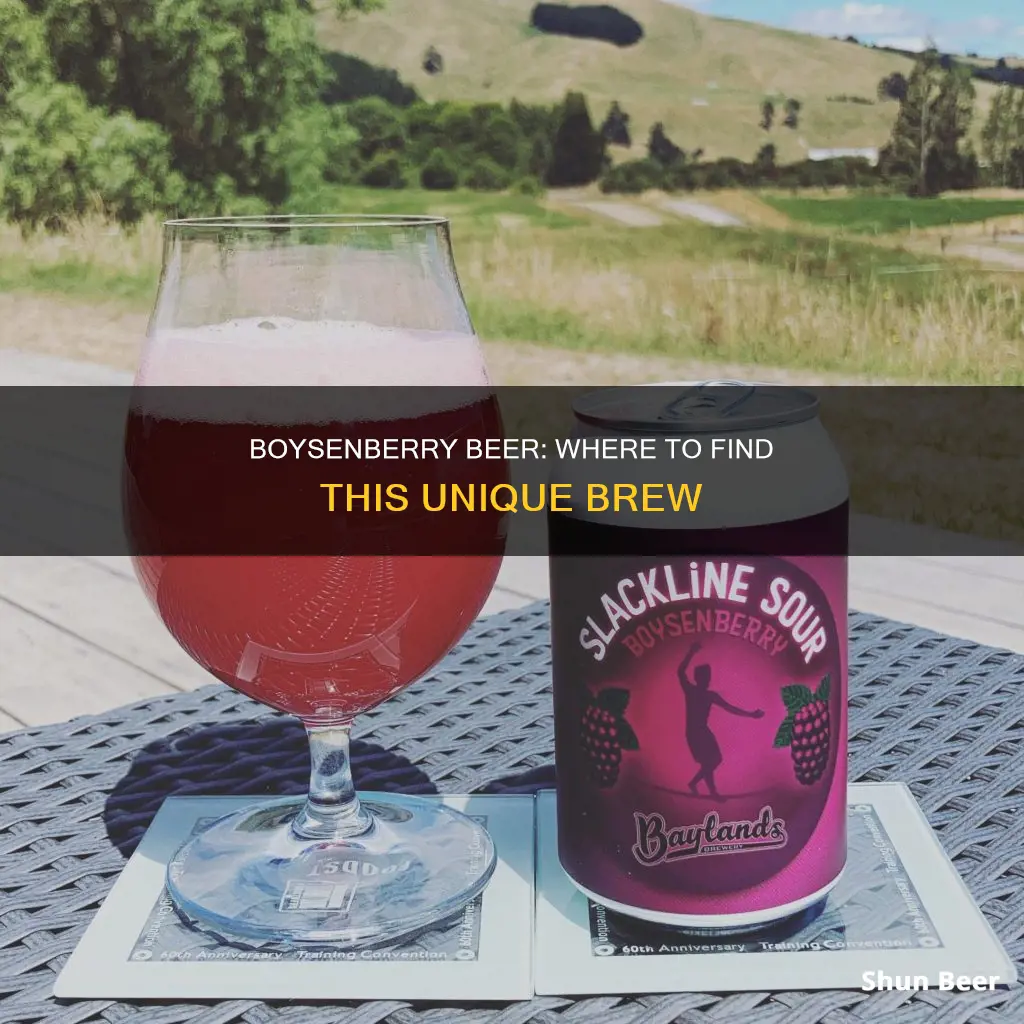 where to buy boysenberry beer