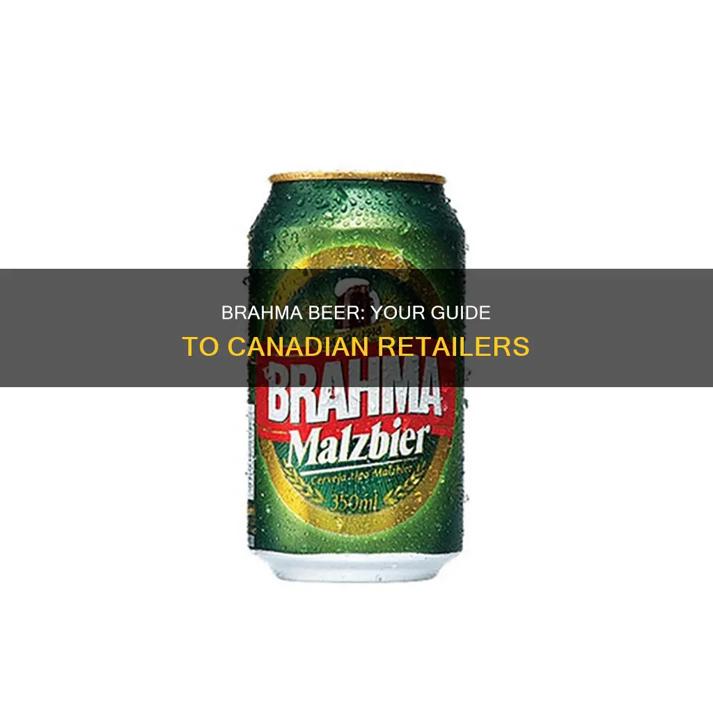 where to buy brahma beer in canada